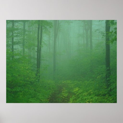 Nebeliger Wald Plakatdruck