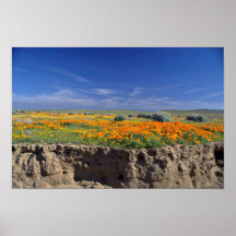 Nebenflussbank-Blumen Posterdrucke