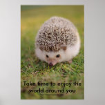 Nehmen Sie Zeitplakat