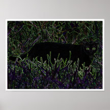 Neon katzenartig poster
