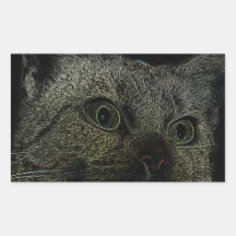 Neoncat Rechteckige Sticker