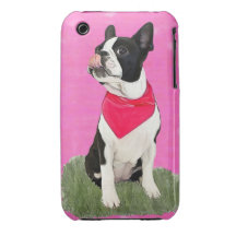 Nessie das Boston iPhone 3 Cover