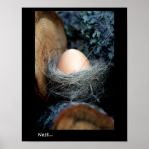 Nest Posterdruck