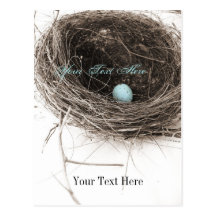 Nest und Ei Postkarten