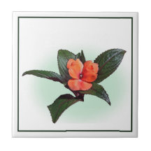 Neu-Guinea Impatiens Foto-Keramik-Fliese