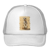 Neugierige Meerkat Baseballmütze