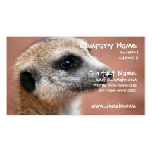 Neugierige Meerkat Visitenkarte
