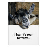 Neugierige Ziege, die oben - Geburtstag schaut Karte