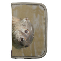 Neugieriges Otter-Geldbörsen-Folio Mappe
