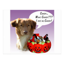 Neuschottland-Enten-läutende Retriever-Halloween-S Postkarten