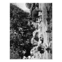 never alone photographic print