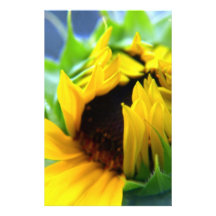 New Mexiko-Sonnenblume Personalisiertes Druckpapier
