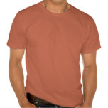 New York T-Shirt Men's Statue of Liberty Organic