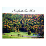NEWFIELD NEW YORK Postkarte