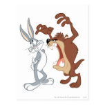 Nicht einmal zurückschrecken _Taz und Bugs Bunny - postkarten