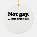 Nicht homosexuelles, aber freundliches .png weihnachtsbaum ornament