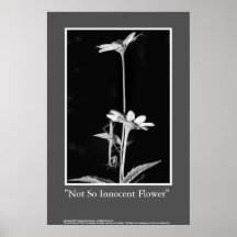 Nicht so unschuldige Blume Posterdrucke