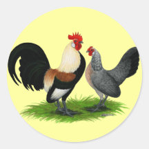 Niederländische Zwerghühner:  Sahnehellbraunes Sticker