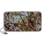 Niederlassungen Speaker
