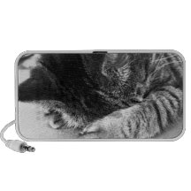 niedlich Katze schläft auf dem Bett süß Reise Speaker