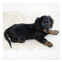 Niedliche Daschund Einladungen