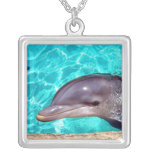Niedliche Delphin-Foto-Halskette