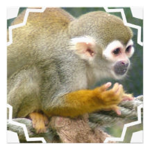 Niedliche Eichhörnchen-Affe-Einladungen