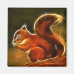 Niedliche Eichhörnchen-Grafik Kühlschrankmagnete