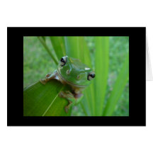 Niedliche Frosch-Karte