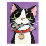Niedliche Katze, die eine Fisch-Postkarte isst