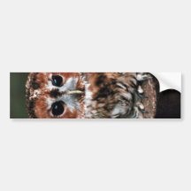 Niedliche kleine wilde Eule Auto Sticker