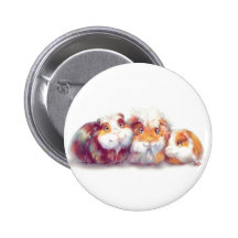 Niedliche Meerschweinchen Button