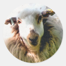 NIEDLICHE SCHAFE RUNDER STICKER
