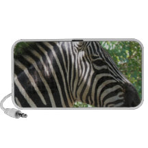 Niedliche Zebra-Lautsprecher