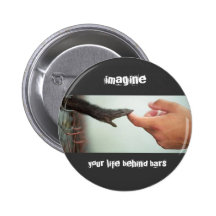 niedlicher Affe, stellen sich, Ihr Leben hinter St Anstecknadelbuttons