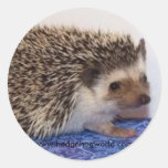 Niedlicher Babyaufkleber