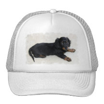 Niedlicher Daschund Baseball-Hut Truckerkappe