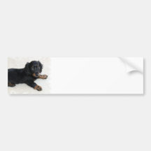 Niedlicher Daschund Stoßaufkleber Auto Sticker