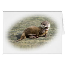 Niedlicher gähnender Baby-Otter Grußkarten