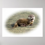 Niedlicher gähnender Baby-Otter Plakat