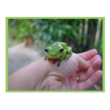 Niedlicher grüner offener Frosch auf der Hand Postkarte
