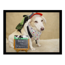 Niedlicher Hund lustig zurück zu Schule Postkarte