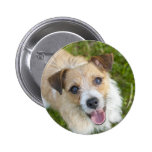 Niedlicher Jack-Russell-Terrierhundefotoknopf Button