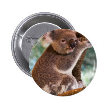 Niedlicher Koala-Knopf Button