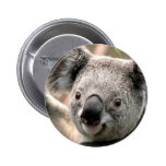 Niedlicher KoalaPin Button