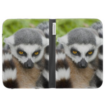Niedlicher Lemur Stripey