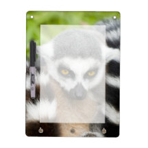 Niedlicher Lemur Stripey Memo Board