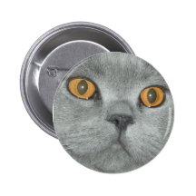 Niedlicher orange mit Augen Kitty-Knopf Anstecknadelbutton