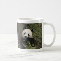 Niedlicher riesiger Panda Teetassen