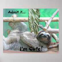 Niedlicher Sloth! Posterdrucke